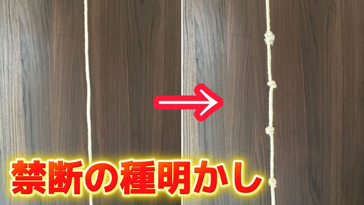 【種明かし】プロも愛用する衝撃ロープマジック【magic trick】