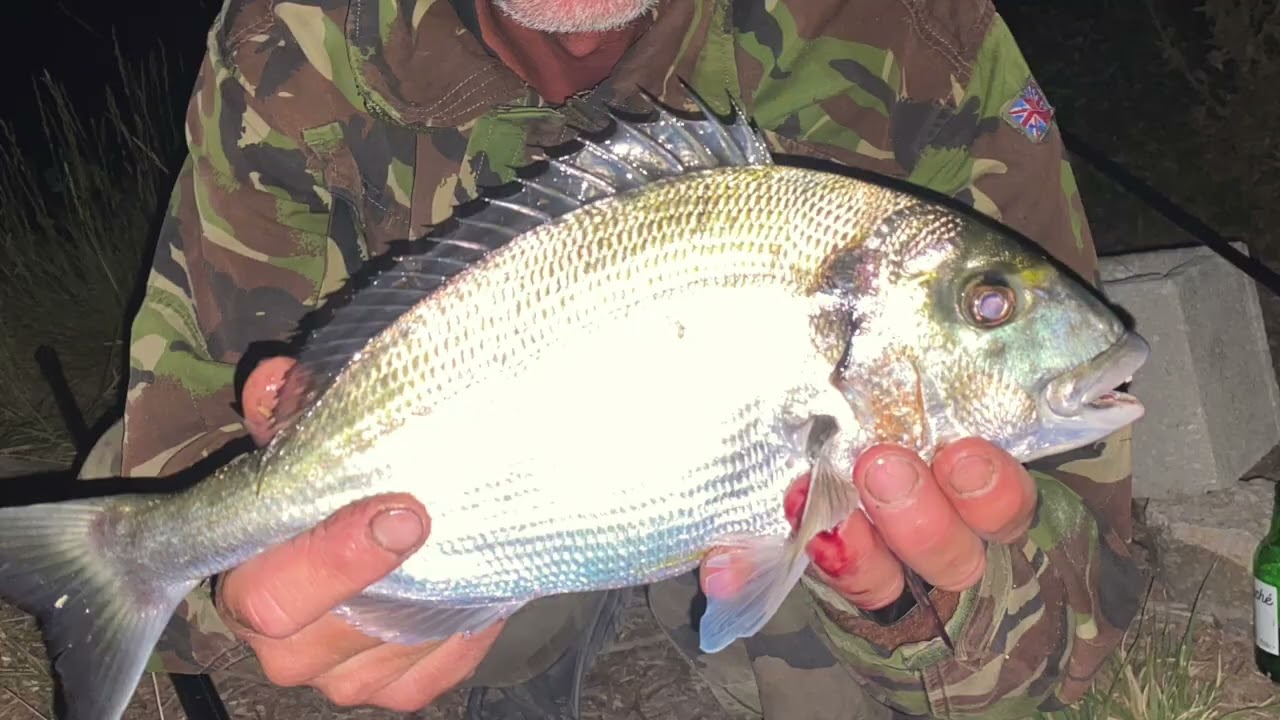 PECHE A LA DAURADE : ENFIN DES BELLES