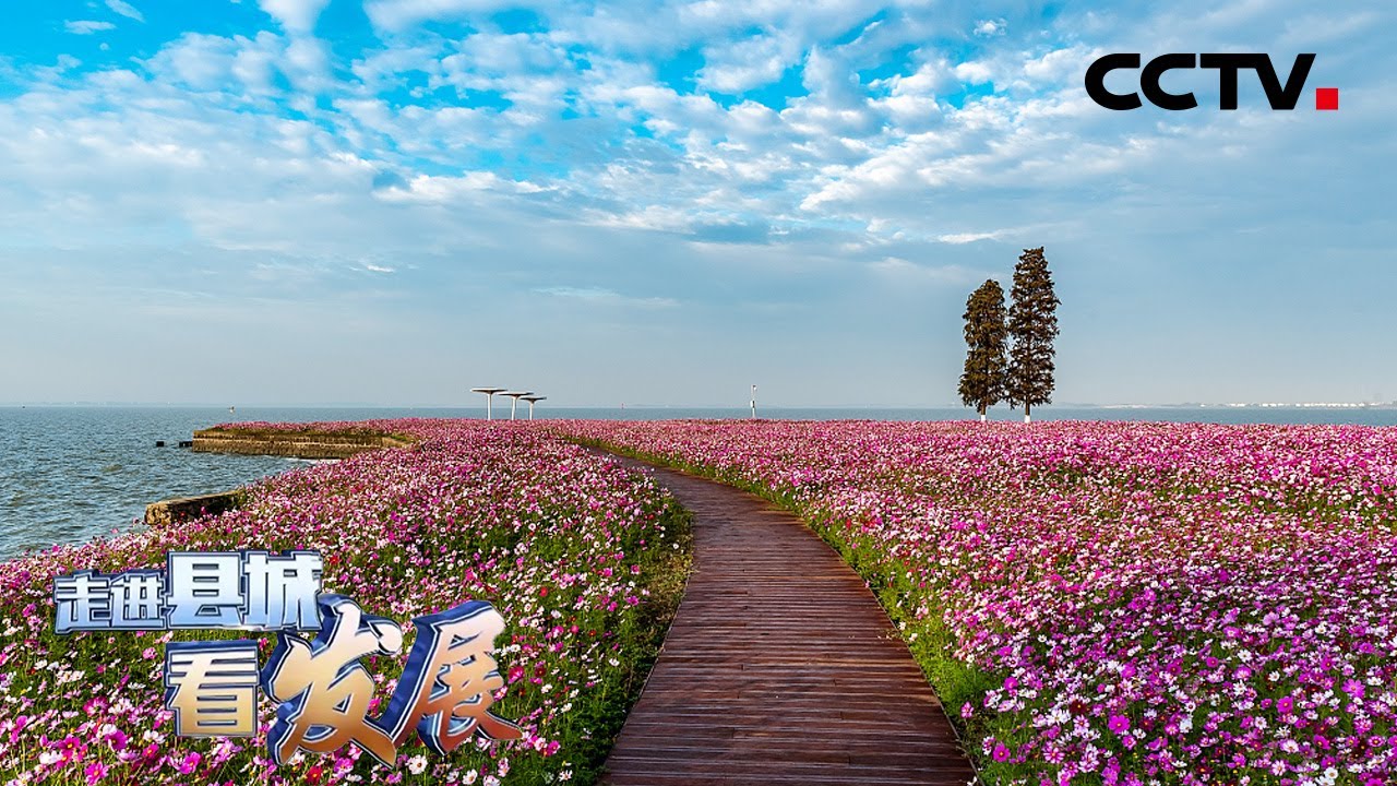 一湖清水江苏上海两地守护 刷新环境“颜值” | CCTV「走进县城看发展」