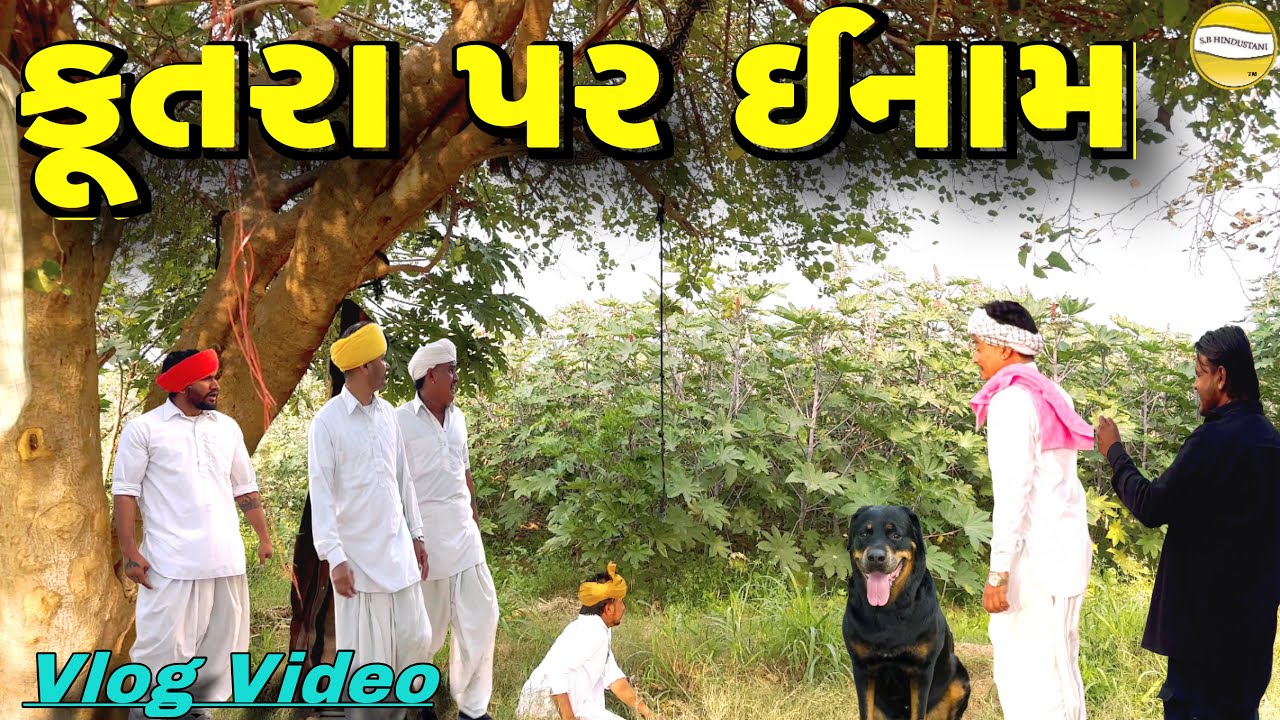 કૂતરા પર  ઈનામ !! SB Official Patan // gujrati Vlog Video 