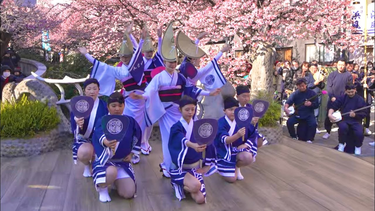 【春の熱海が沸いた】桜まつり✕阿波踊り 横濱浜風連糸川遊歩道が阿波踊り一色！熱海桜まつり 2026横濱浜風連