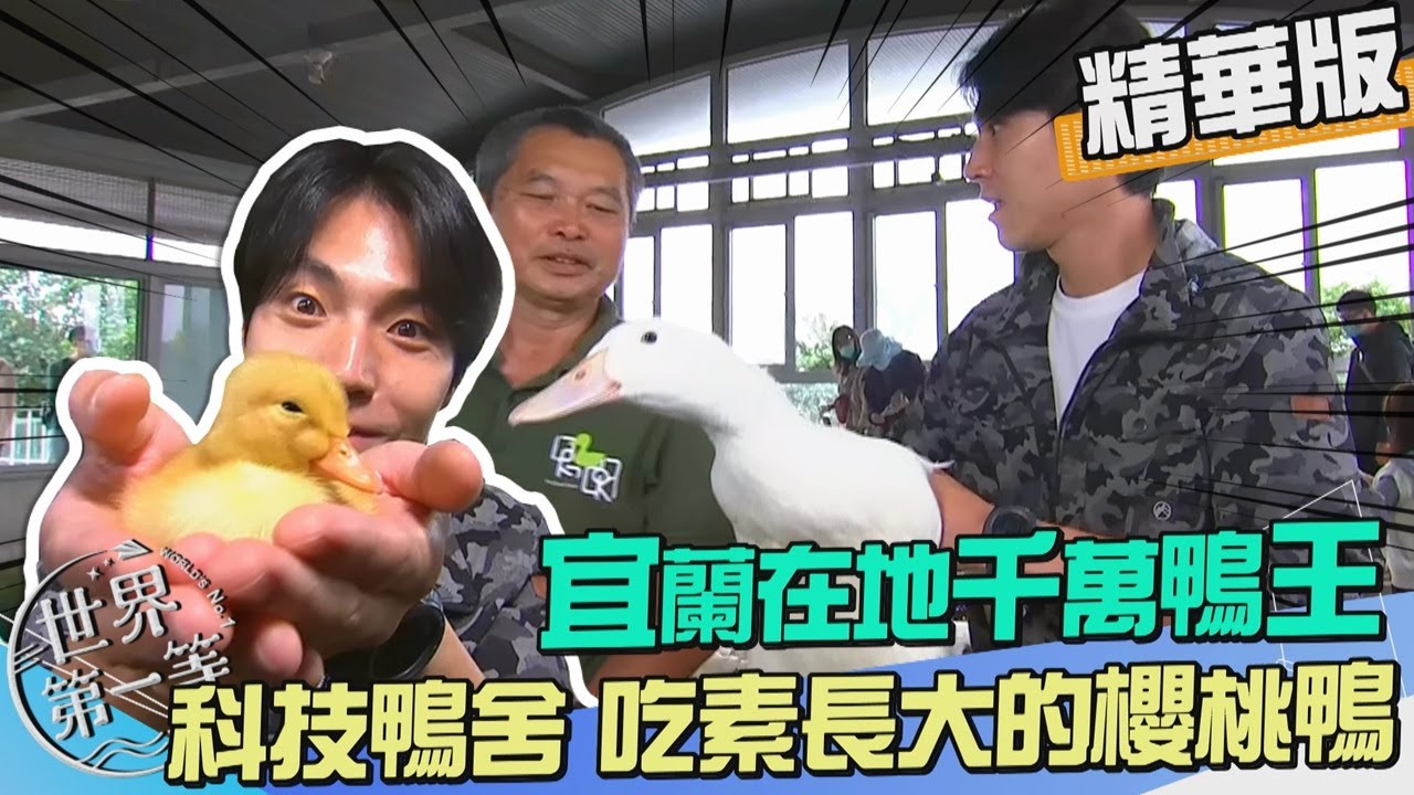【宜蘭】櫻桃霸王鴨 千萬科技鴨舍吃素長大的櫻桃鴨｜《世界第一等》1031集精華版