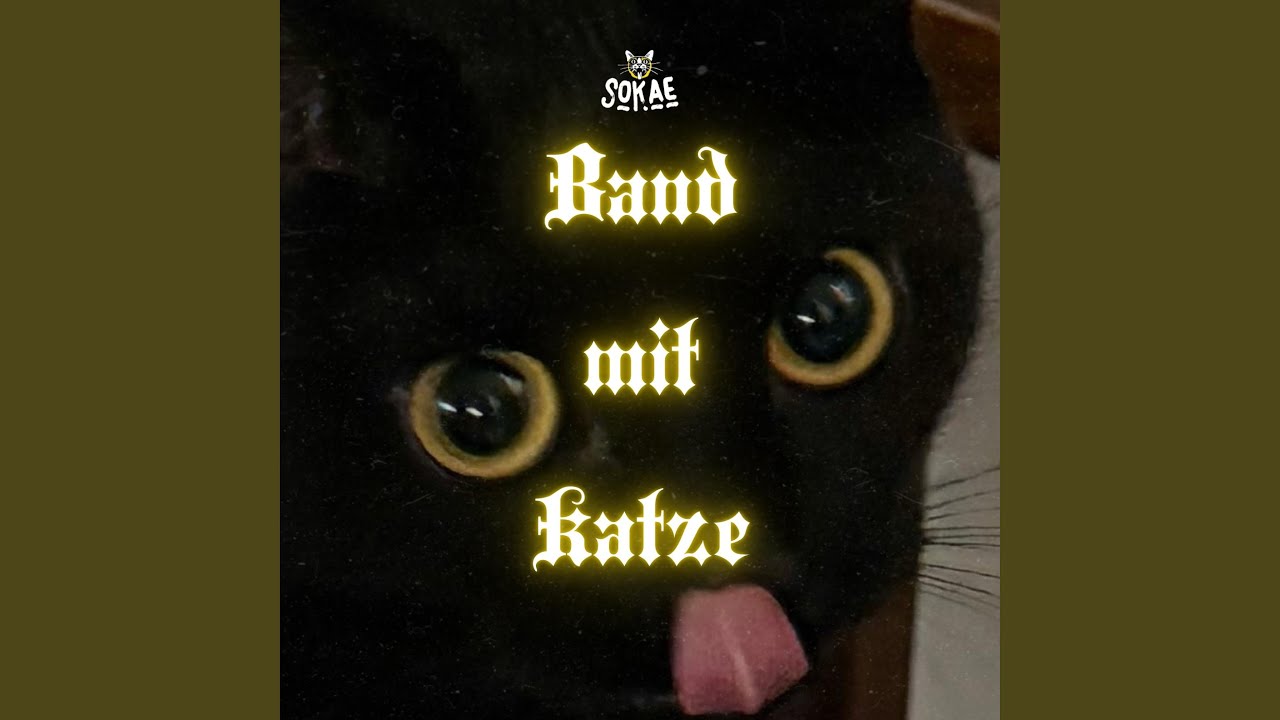 Band mit Katze