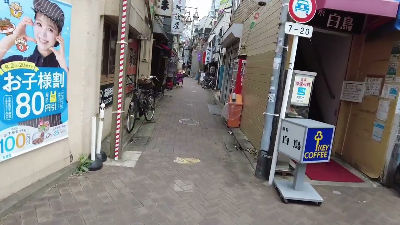 Tokyo Koiwa andando de dia Passeio visual