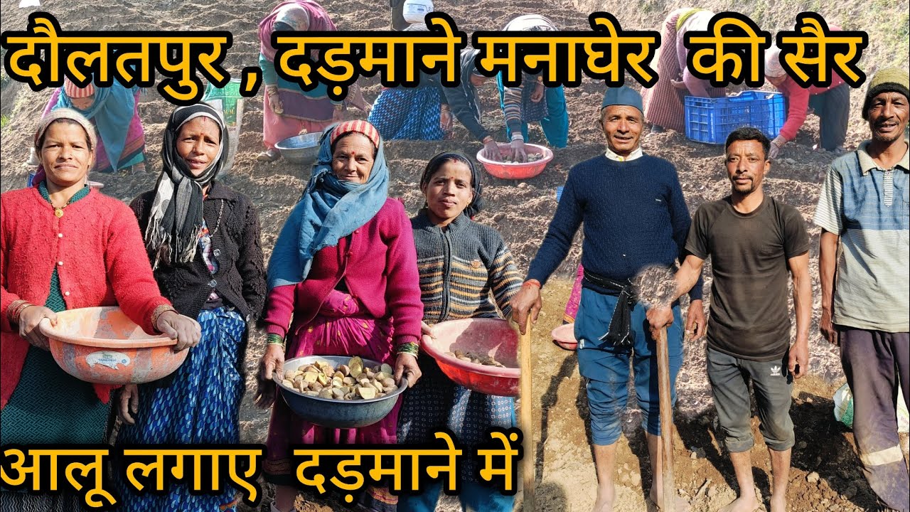 दौलतपूर , दड़माने मनाघेर  की सैर || आलू लगाने गई दड़माने मौसाजी के घर || pahadi Lifestyle Vlogs 