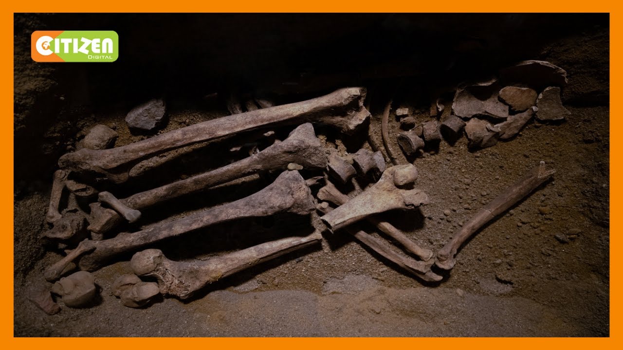 IN SEARCH OF ‘TURKANA BOY’ | 1.6-million-year-old complete skeleton discovered in Turkana County