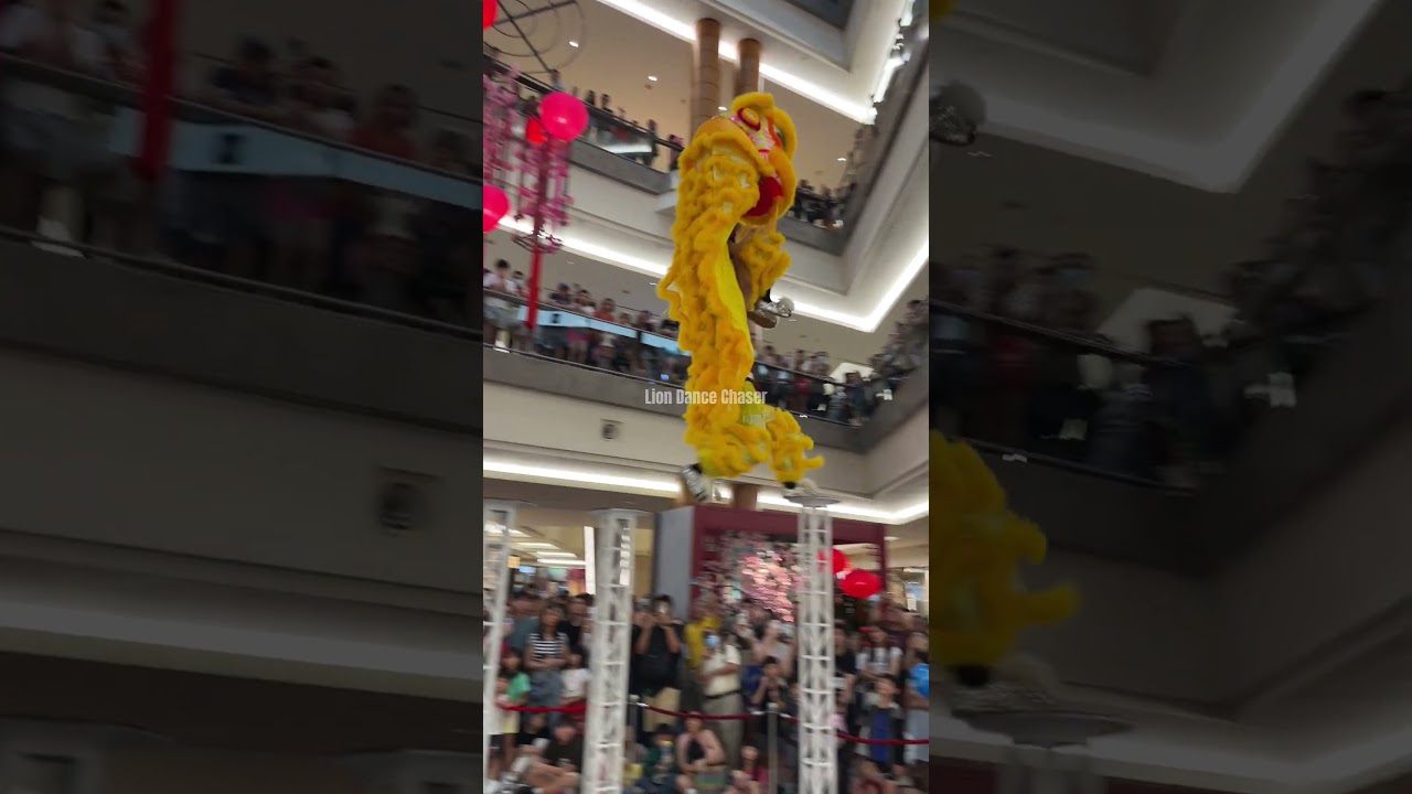 #cny2025 | Acrobatic Northern & Southern Lion Dance | Click Link To Watch FULL VIDEO | #shorts