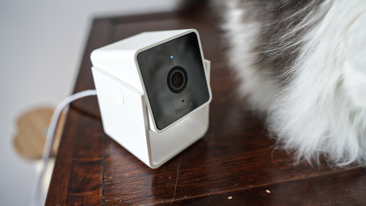 Simple Pet camera for anywhere in your house - PetCube