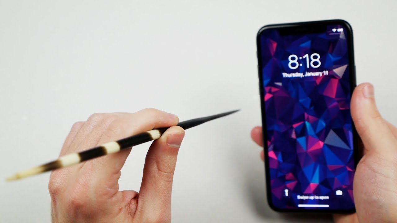 Can Porcupine Quills Puncture an iPhone X?