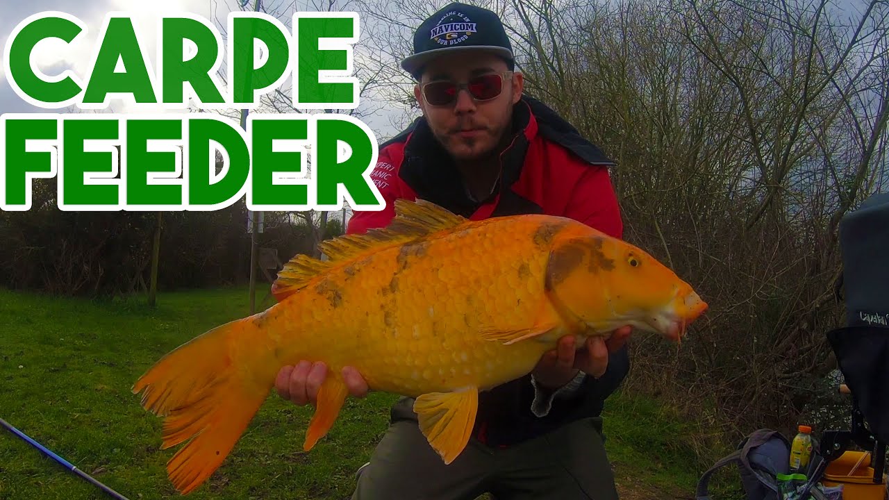 Des départs VIOLENT lors d'une session FEEDER au CARPODROME !