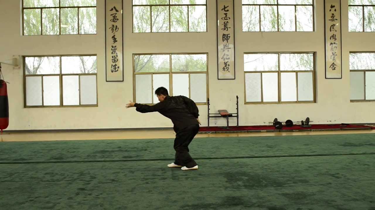 dan da /  wushi kaimen bajiquan / by xiao hui