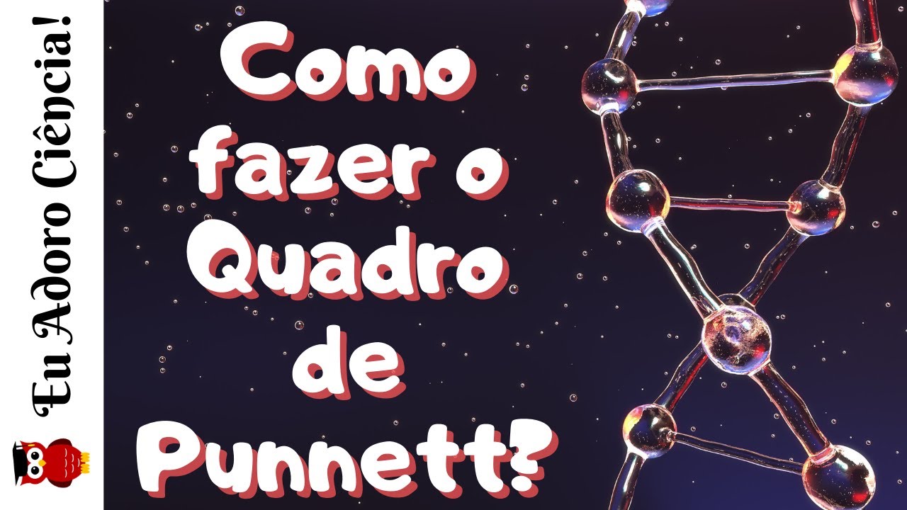 Como fazer o Quadro de Punnett? | GENÉTICA