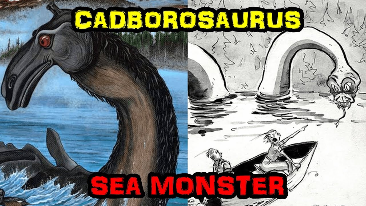 The Cadborosaurus - Mysterious Serpent-Like Sea Monster