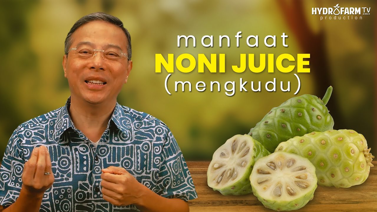 Manfaat NONI 