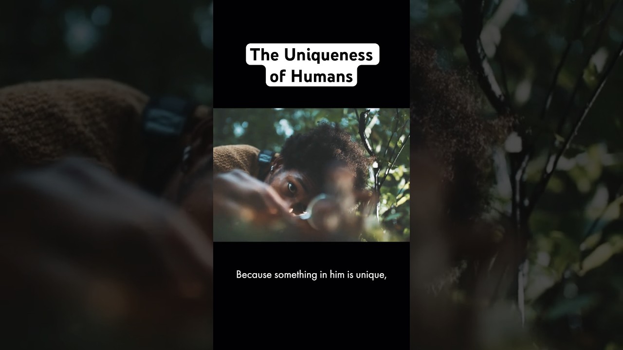 OSHO: THE SEARCH - The Uniqueness of Humans