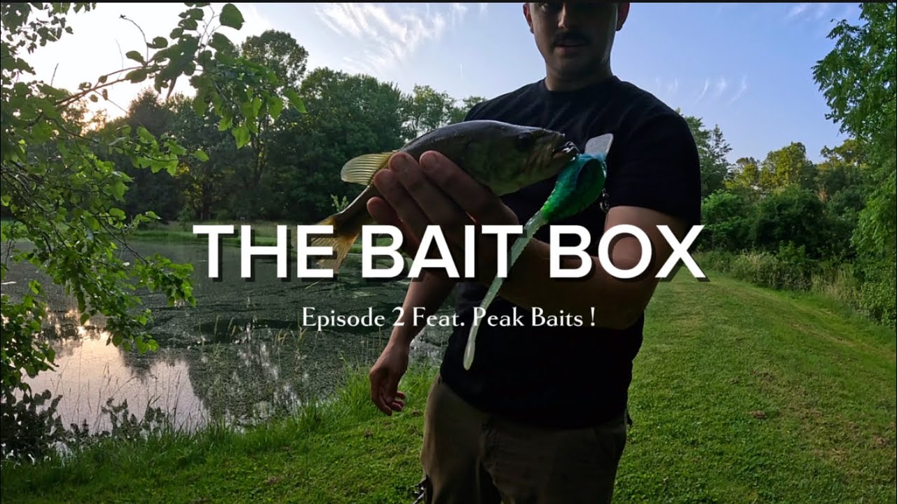 LURES TO CATCH BIG BASS !  ( Episode 2 of The Bait Box Feat. Peak Baits )