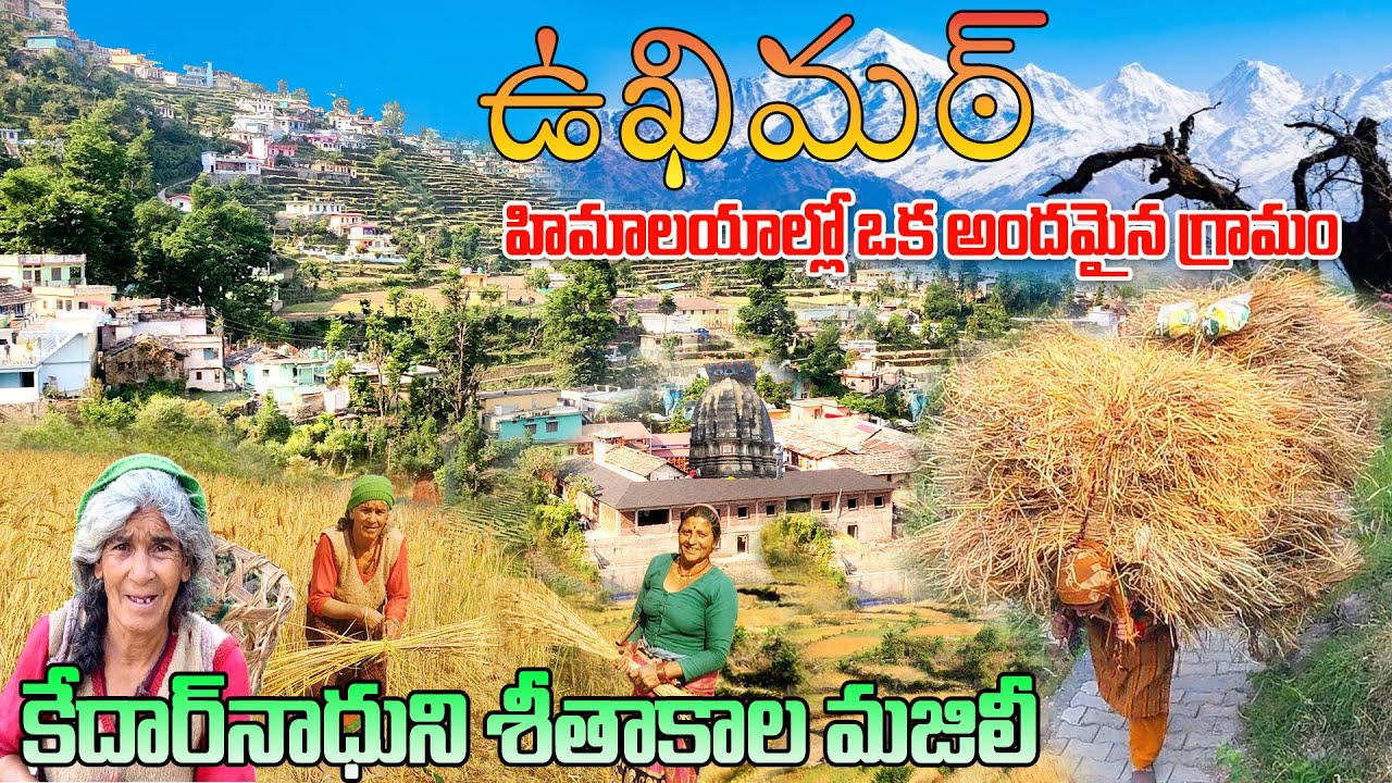 Kedarnath's winter destination ukhimath village. ukhimath omkareshwar temple. ukhimath to kedarnath