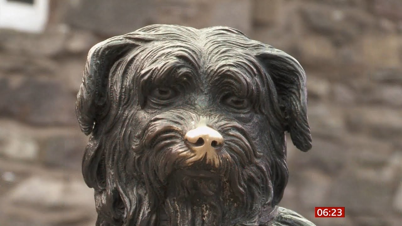 Greyfriars Bobby remembered 150 years after his death (Scotland) - BBC News - 16th January 2022