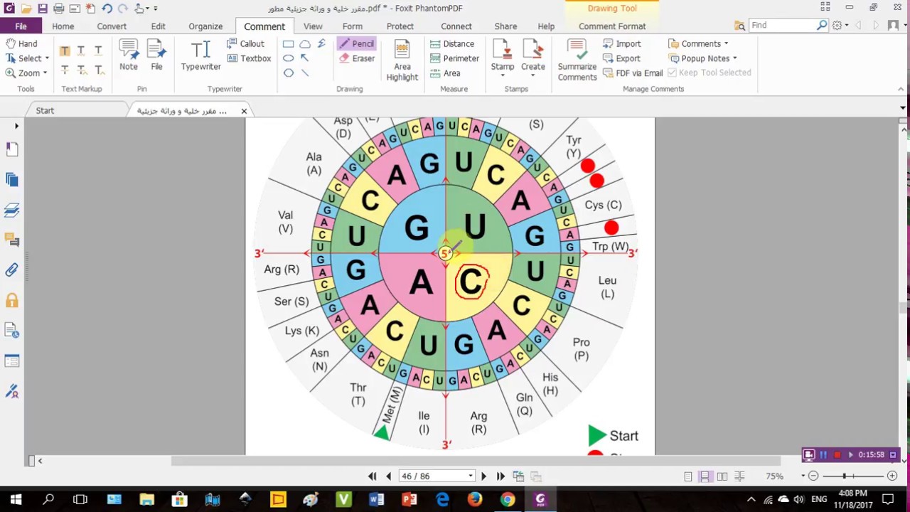 Translation of genetic Code (ترجمة الشفرة الوراثية)