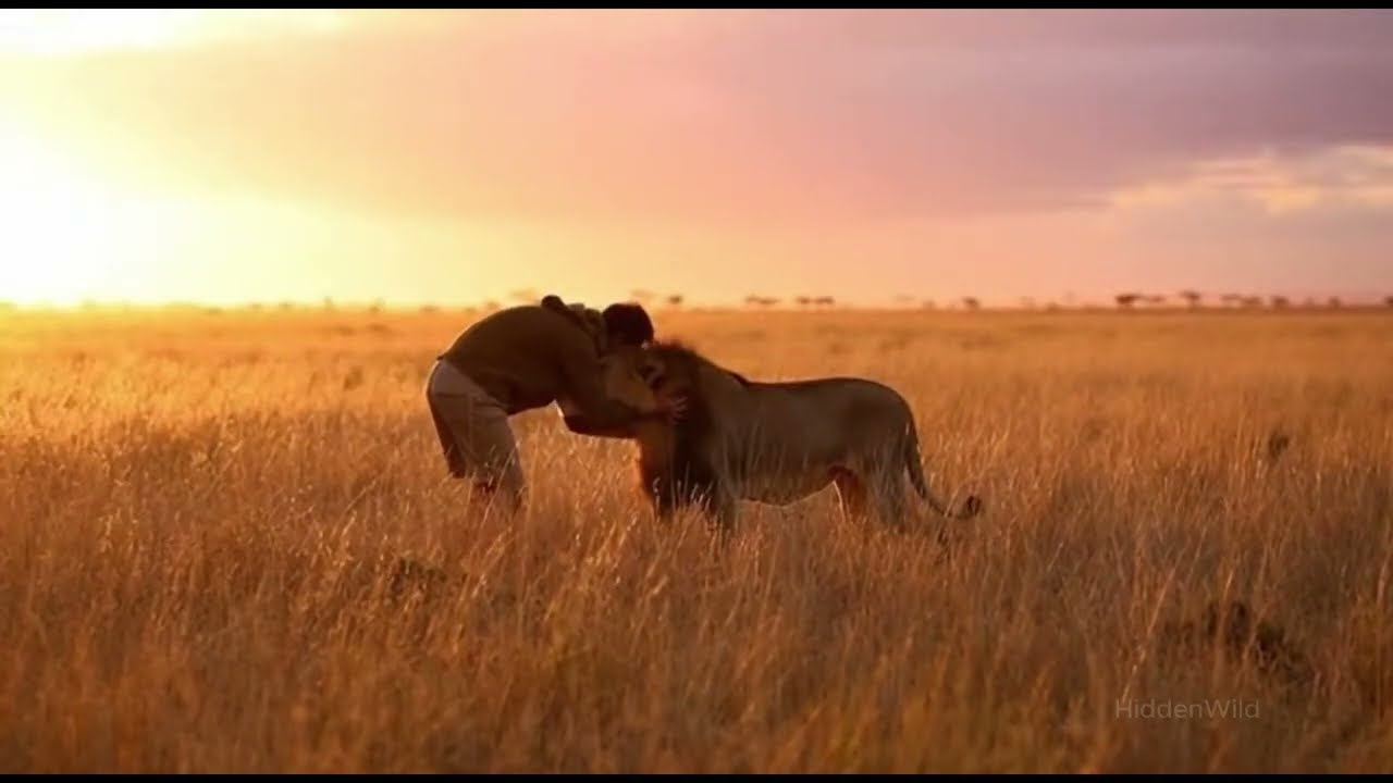 The Sincere Love Animals Remember Even After Time