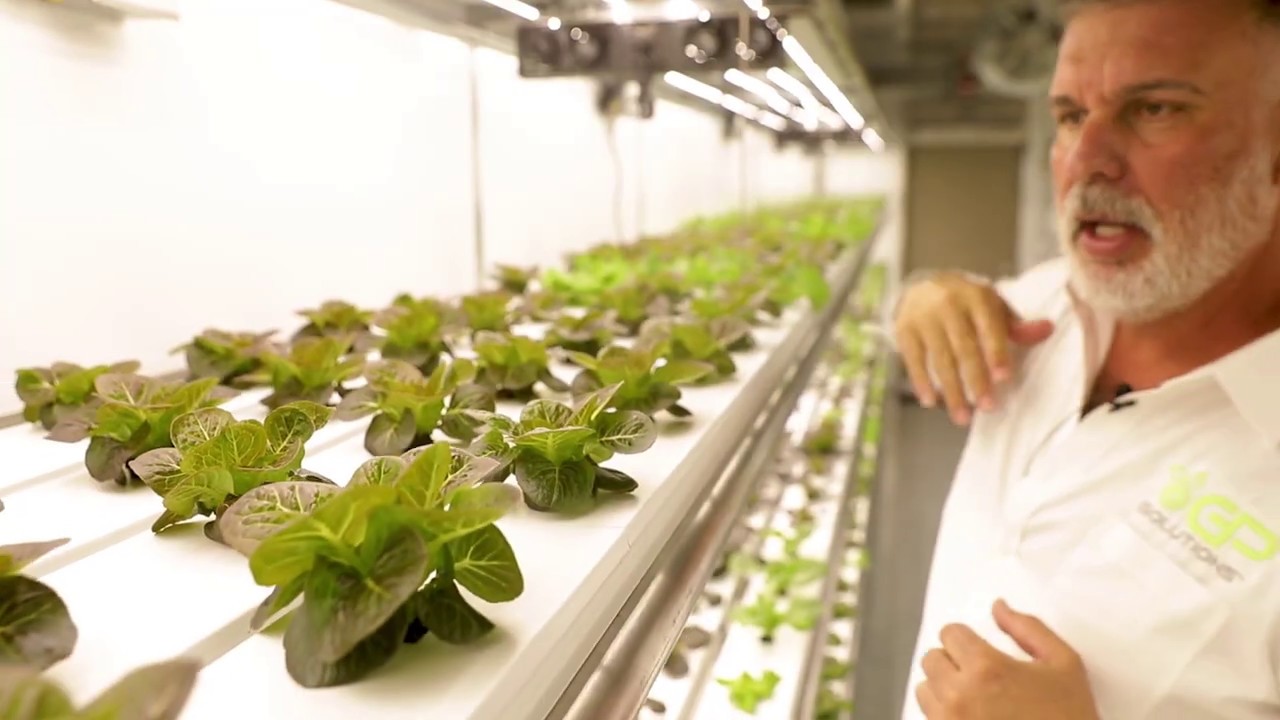 All About Shipping Container Farming FAQ with Grow Pod Solutions