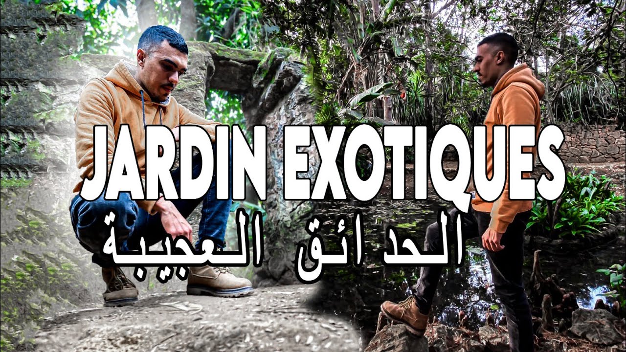 نباتات من كل أنحاء العالم🌍🌿 اكتشاف الحدائق العجيبة بوقنادل الساحرة 🤯 Jardins Exotiques de Bouknadel