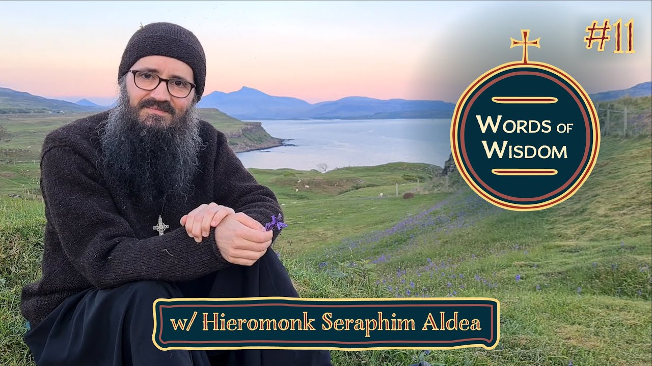 WoW #11 | A Word on Mad Love (w/ Fr Seraphim Aldea)