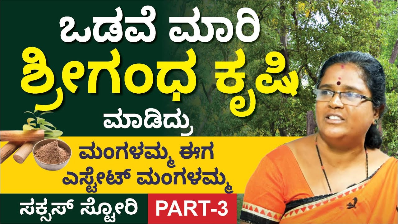 ಒಮ್ಮೆ ಹೂಡಿಕೆ ಮಾಡಿದ್ರೆ ವರ್ಷಗಳ ಲಾಭ ಸಿಗುತ್ತದೆಯಾ? ದೀರ್ಘಕಾಲ ಲಾಭ ನೀಡುವ ಗಿಡ | Sandalwood Plant | Part 3