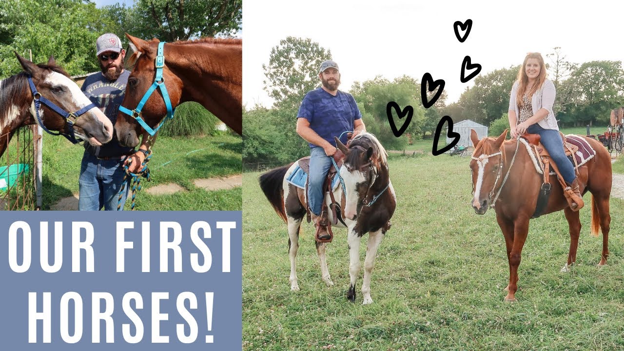 BRINGING MY FIRST HORSE HOME!! || Bringing the horses home + riding them for the first time!!