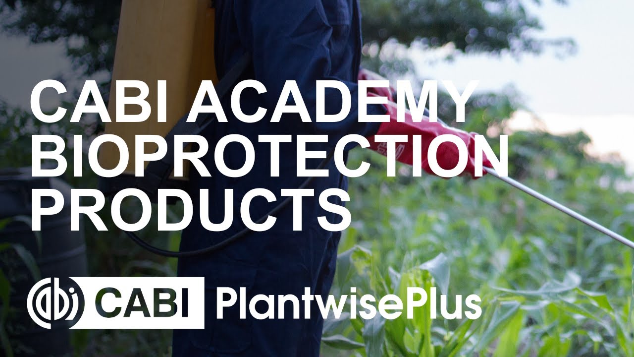 CABI Academy: Introduction to Bioprotection Products course, macrobial bioprotection products