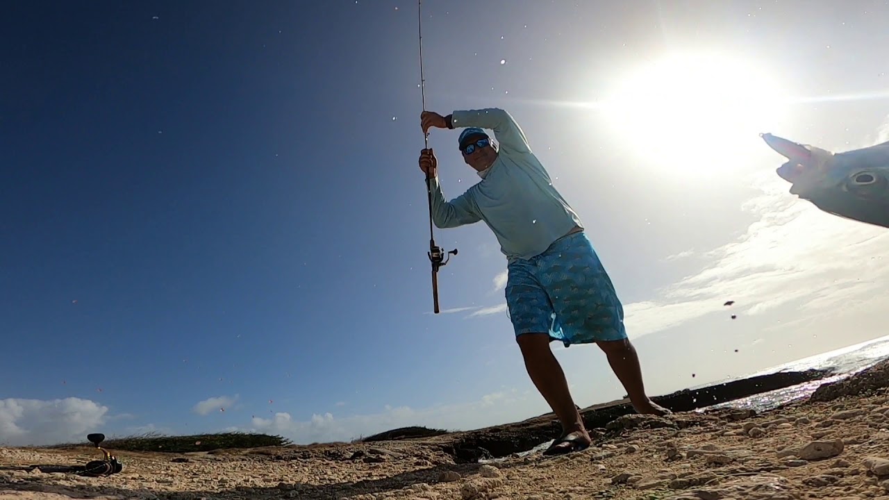 DUSHI VIBE INSHORE FISHING🎣 FARO BLANCO LIGHTHOUSE ARUBA 🇦🇼💯ARUBIANO GUIDE