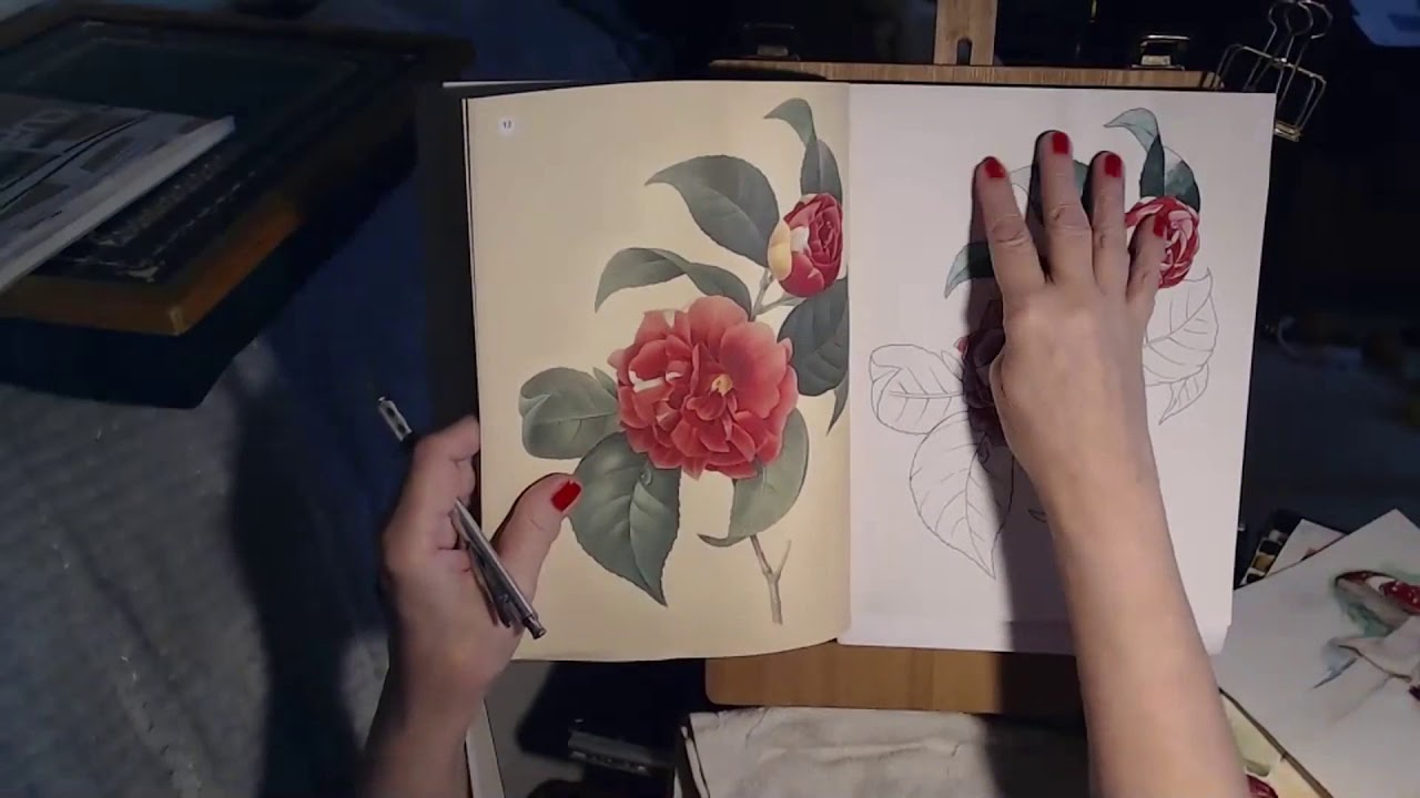 The Beauties of Nature colouring  painting in W&N water colour