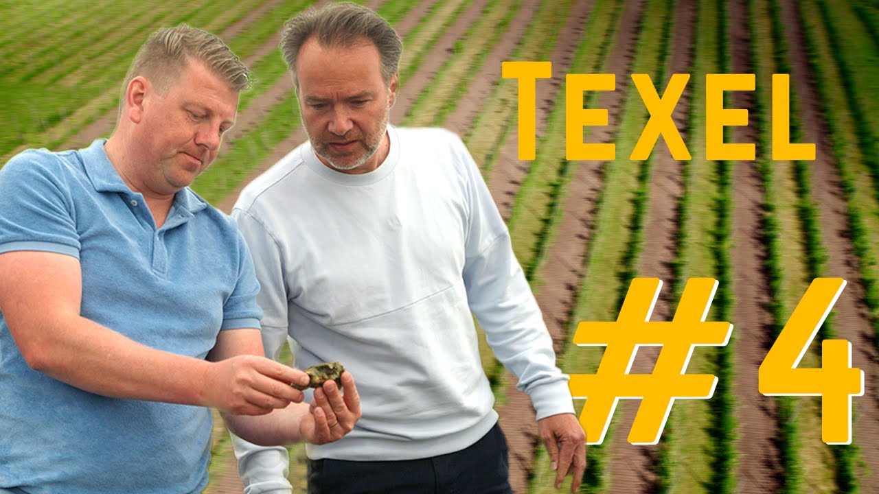 Onze eigen wijngaard in 't Gooi? Aflevering 4/4 | Texel