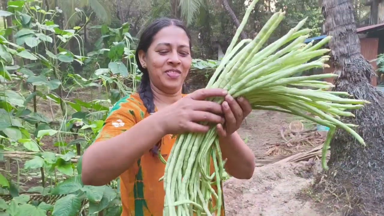 ഇന്നത്തെ വിളവെടുപ്പ് ഒന്നു കണ്ടു നോക്കൂ