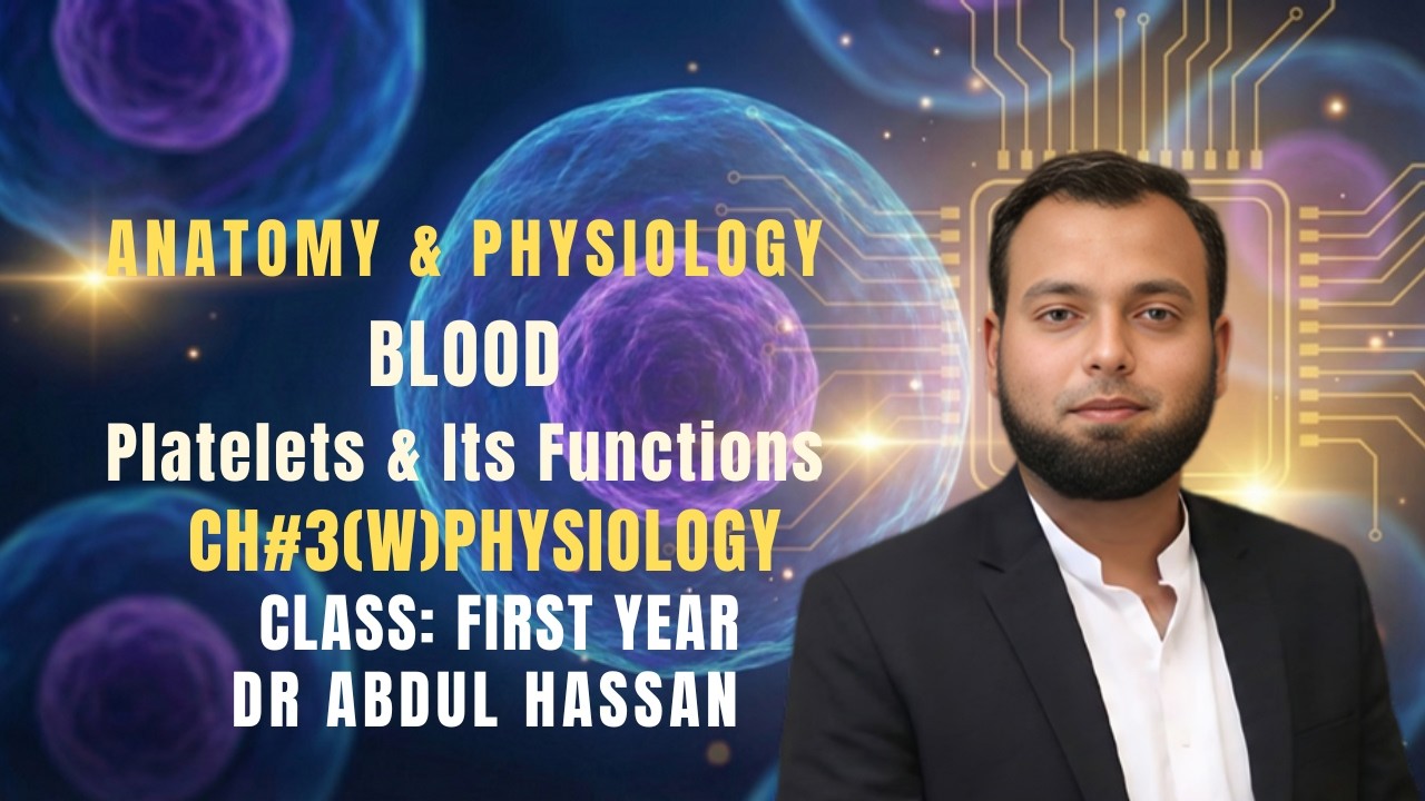Platelets in Physiology: Structure, Formation, Mechanism of Action and Vital Functions