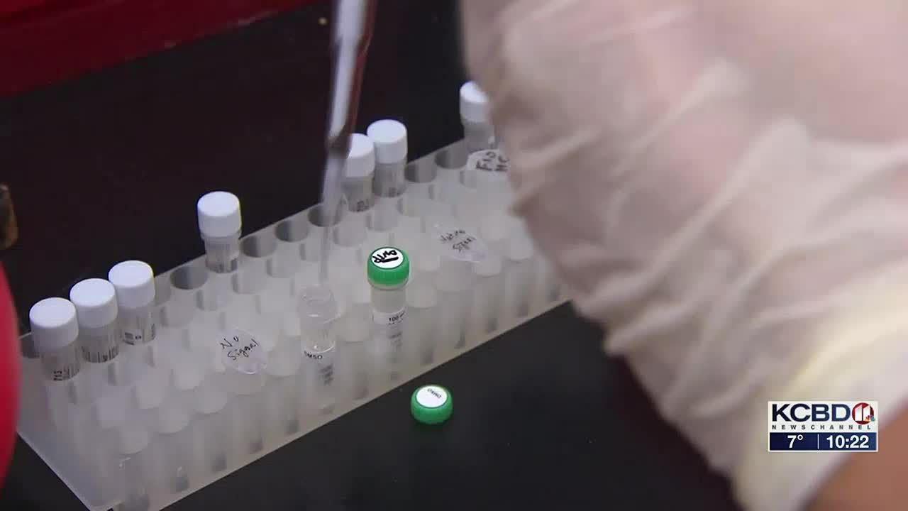 Universal flu vaccine
