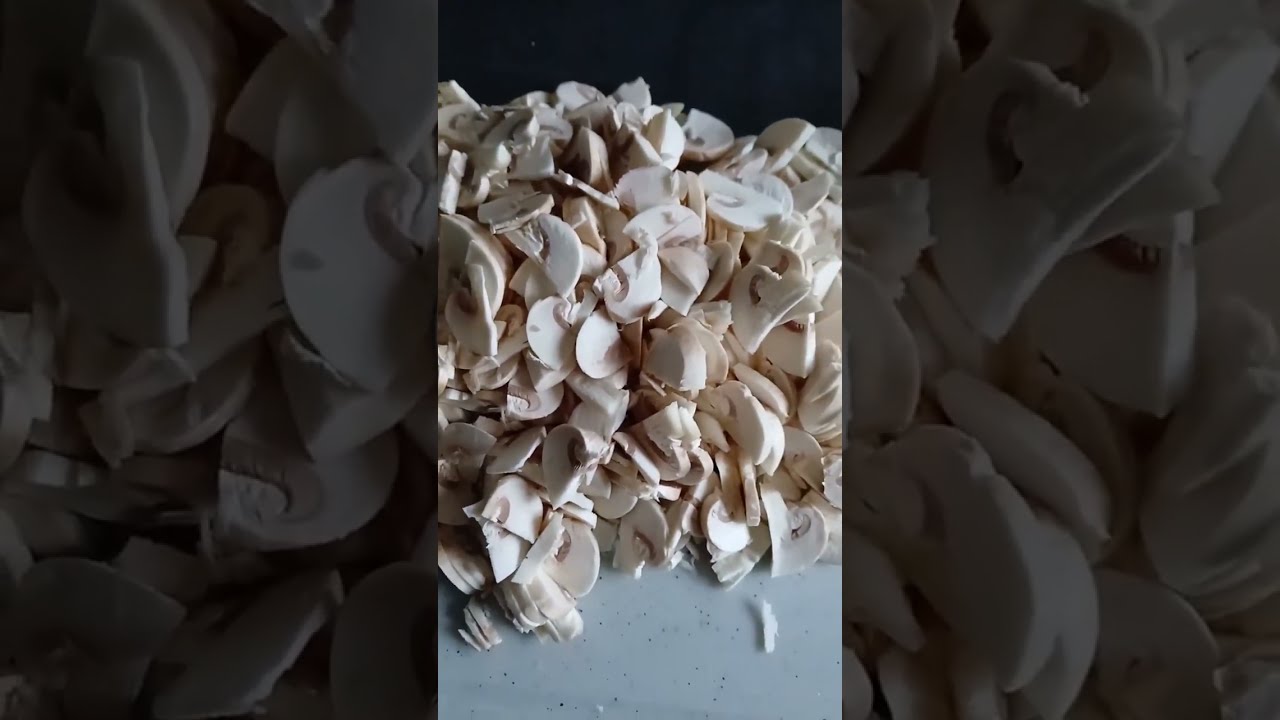 VELOUTÉ DE CHAMPIGNONS 