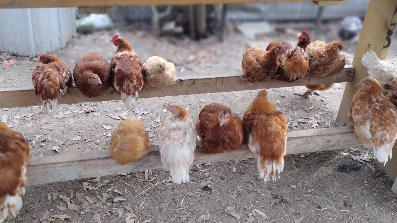 Happy Friday 😄☺️☺️