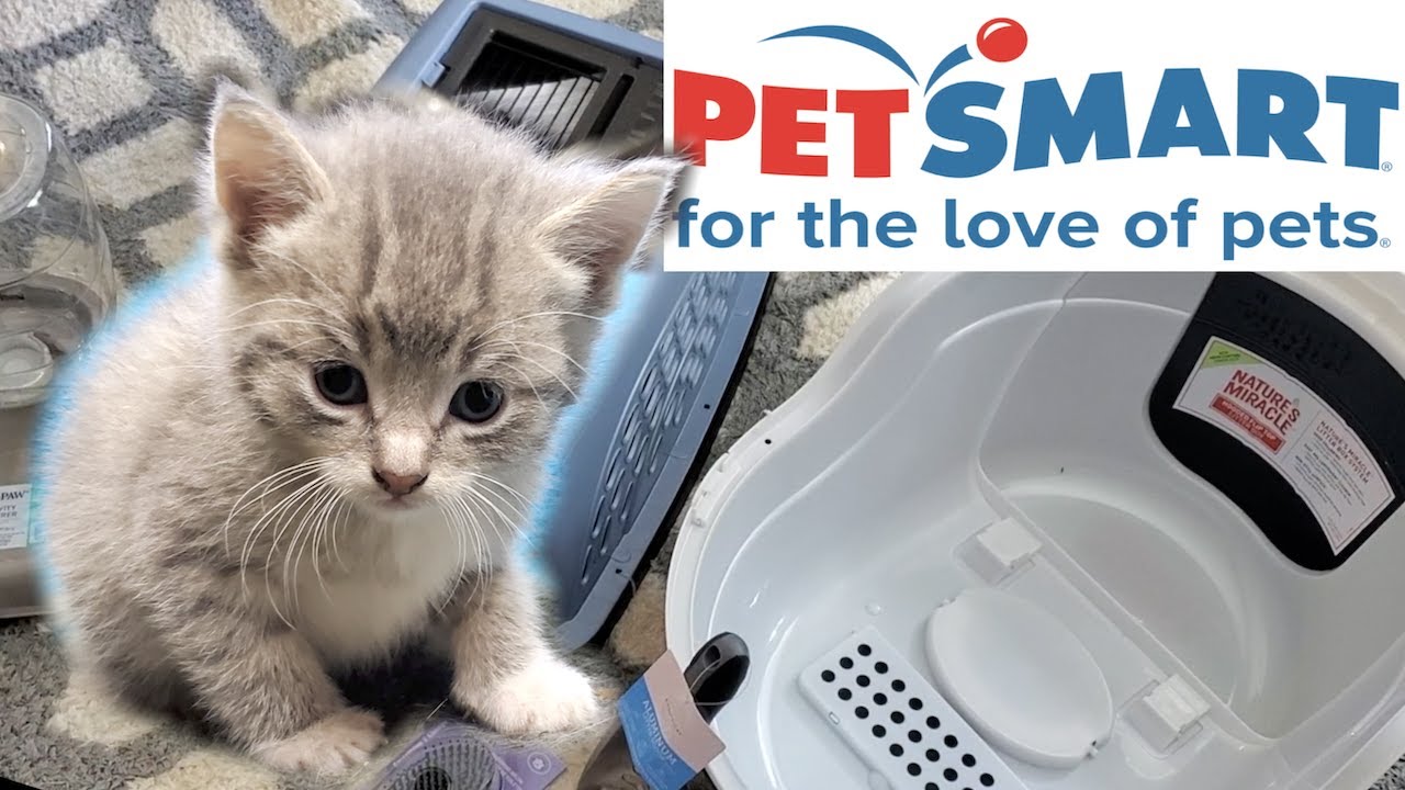 🐾 SHOPPING AT PETSMART FOR SOME CAT SUPPLIES WHATS DID I ALL PICK UP