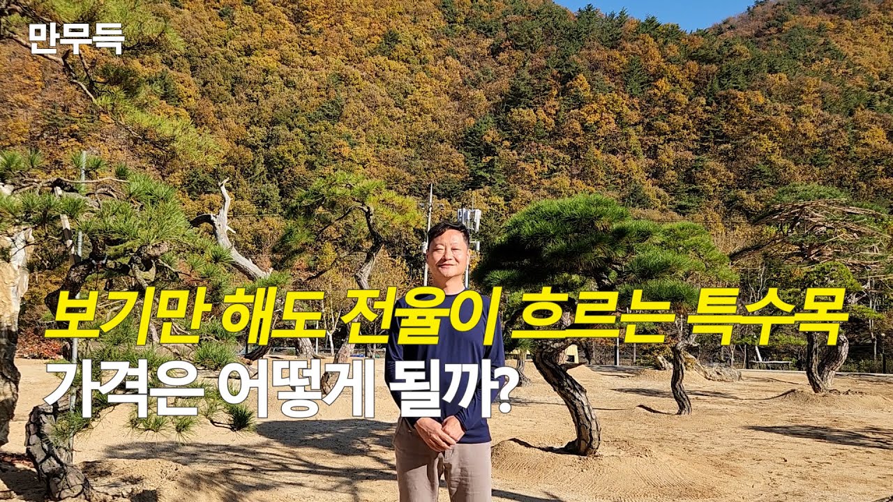 143. 보기만 해도 전율이 흐르는 특수목  가격은 어떻게 될까?