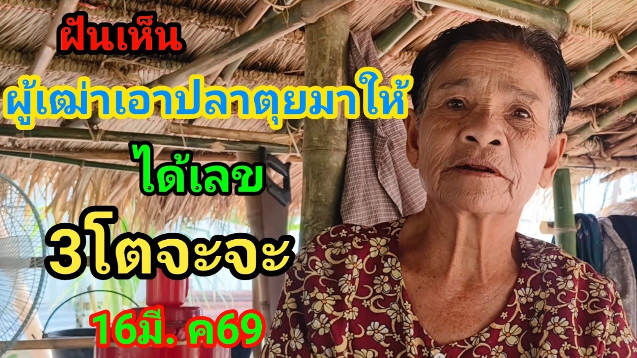 #ฝันเห็นผู้เฒ่าเอาปลาตุยมาให้ได้เลข3โตจะจะ16มี. ค69