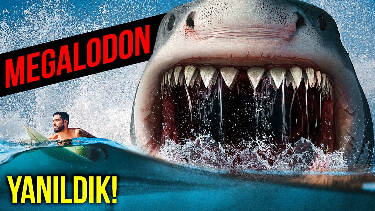 Megalodon Hakkında Bildiğimiz Her Şey Doğru Değildi