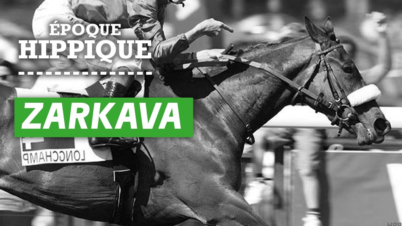 L'histoire de Zarkava : une envolée spectaculaire | Époque Hippique | PMU