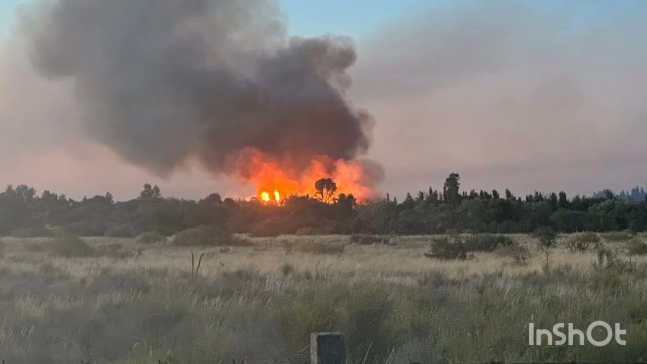 URGENTE: SE ACTIVO EL INCENDIO CERCA DE MONTE BAGUAL 