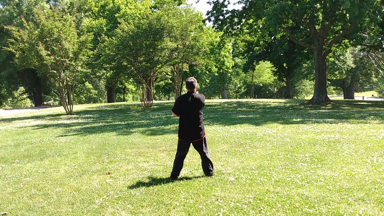 Wing Chun Self Defense Form- Ng Mui Kuen- Rear View