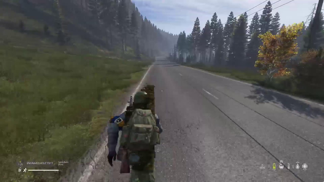 DayZ