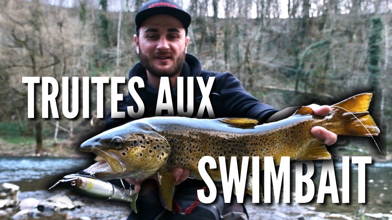 Pêche de la truite : Les grosses au swimbait !