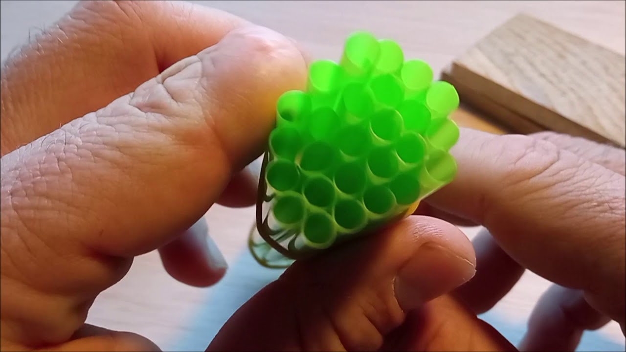 TECNOLOGÍA DE LA MADERA. ANISOTROPÍA. ESTRUCTURA TUBULAR.