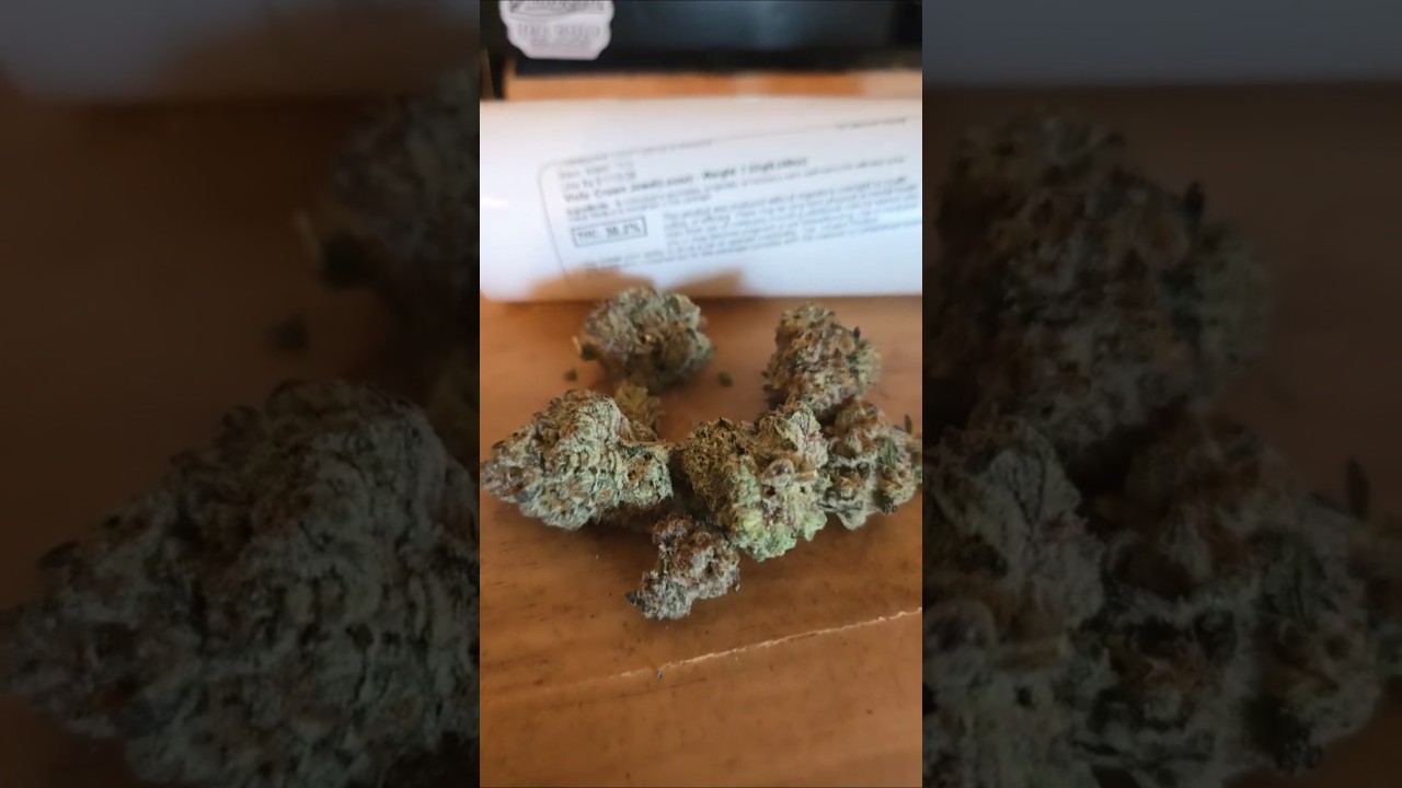 Crown Jewels from Viola Top Shelf Strain 👌 🌳🌲😶&zwj;🌫️💨 #Colorado #topshelf #thebuzzdispensary