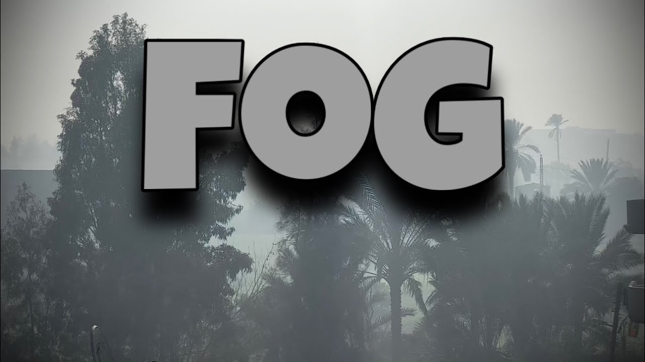 3 Minutes Of Trees in the Mist | Calm & Relaxing Music